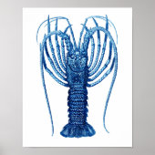 blauwe Lobster Natuurlijke Geschiedenis Art Print (Voorkant)