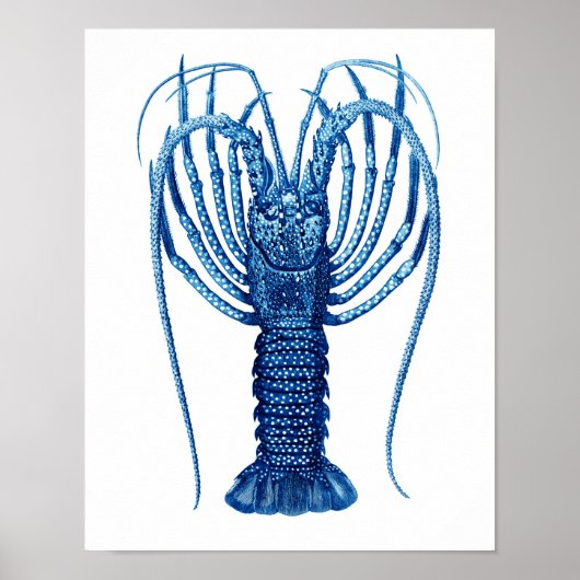  blauwe Lobster Natuurlijke Geschiedenis Art Print (Voorkant)