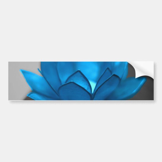 Blauwe Lotus Bloem Bumpersticker (Voorkant)
