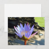 Blauwe Lotus Briefkaart (Voorkant / Achterkant)