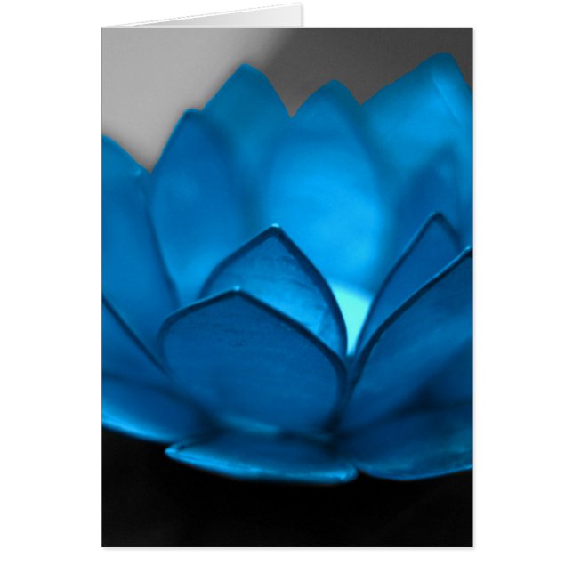 Blauwe Lotus Flower (Voorkant)