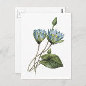 blauwe lotus (Nymphaea caerulea) van Redouté Briefkaart (Voorkant / Achterkant)
