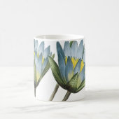 blauwe lotus (Nymphaea caerulea) van Redouté Koffiemok (Center)