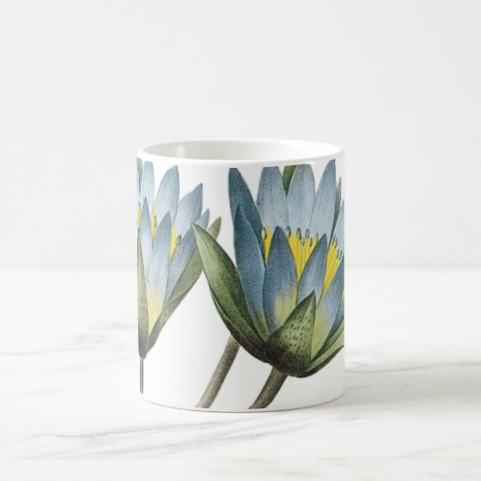 blauwe lotus (Nymphaea caerulea) van Redouté Koffiemok (Center)