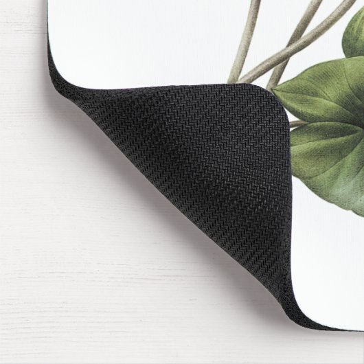 blauwe lotus (Nymphaea caerulea) van Redouté Muismat (Hoek)