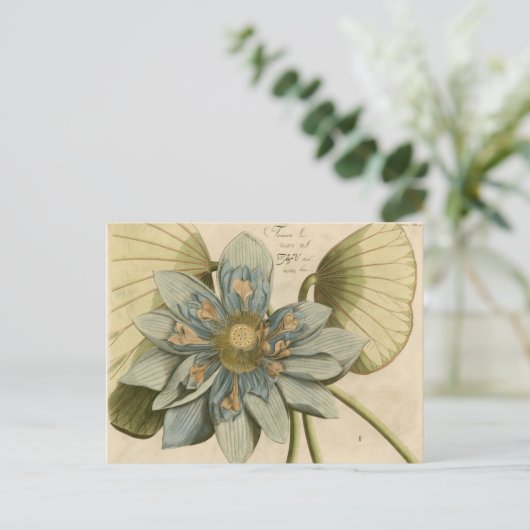 Blauwe Lotus-ventilator op Tan-achtergrond met sch Briefkaart (Staand voorkant)