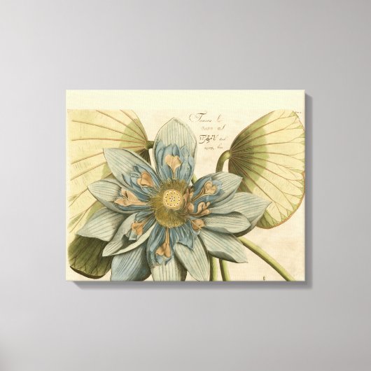 Blauwe Lotus-ventilator op Tan-achtergrond met sch Canvas Afdruk (Voorkant)