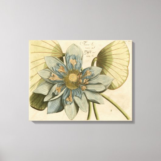Blauwe Lotus-ventilator op Tan-achtergrond met sch Canvas Afdruk (Voorkant)