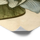 Blauwe Lotus-ventilator op Tan-achtergrond met sch Poster (Hoek)