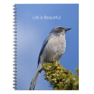Blauwe Lucht Blauwe Vogel Boom (mijn fotografie) Notitieboek