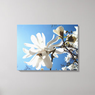 Blauwe Lucht Bloemstukken Canvasafdrukken Witte Ma Canvas Afdruk