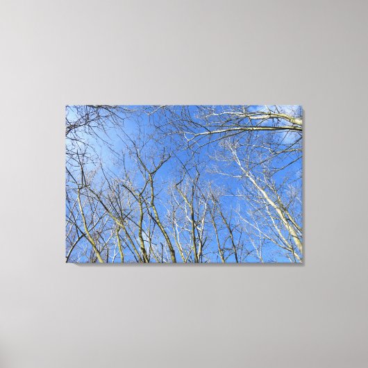 Blauwe Lucht, Bomen in de Winter Canvas Afdruk (Voorkant)