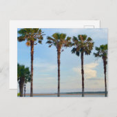 Blauwe lucht en bomen briefkaart (Voorkant / Achterkant)