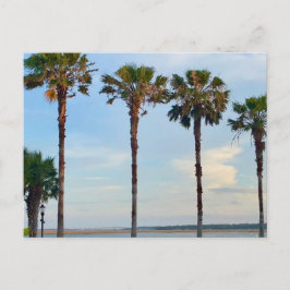 Blauwe lucht en bomen briefkaart