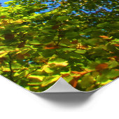 Blauwe lucht en herfstgebladerte - gepersonaliseer poster (Hoek)