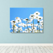 Blauwe lucht en witte madeliefjes canvas afdruk (Insitu (Houten vloer))