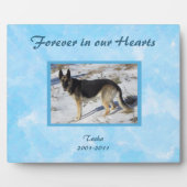 Blauwe lucht huisdier-herdenkingsfotoplaquette fotoplaat (Voorkant)