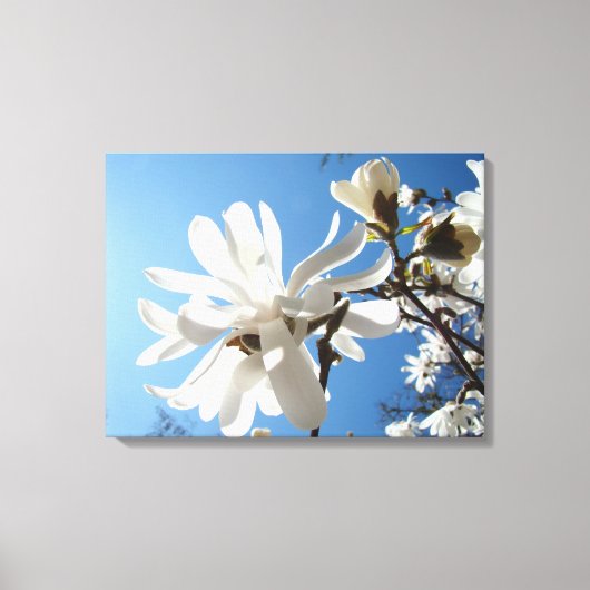 Blauwe Lucht Magnolia Bloemstukken Canvas Kunst Pr (Voorkant)