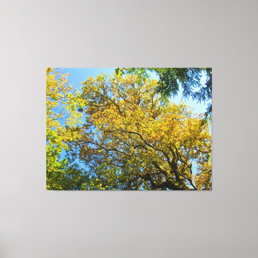 Blauwe lucht & najaarsbladeren - canvas afdruk (Voorkant)