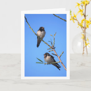 Blauwe Lucht, Zwaluw Vogels Portret Kaart