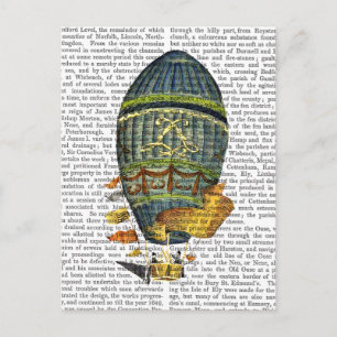 Blauwe luchtballon briefkaart