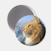 Blauwe luchten kat magneet (Voorkant / Achterkant)