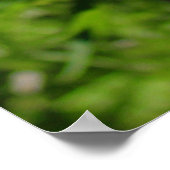 Blauwe luiers poster (Hoek)