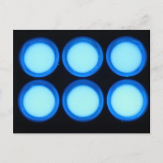 Blauwe luminiescentie briefkaart (Voorkant)