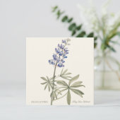 Blauwe Lupine door Mary Walcott (Staand voorkant)