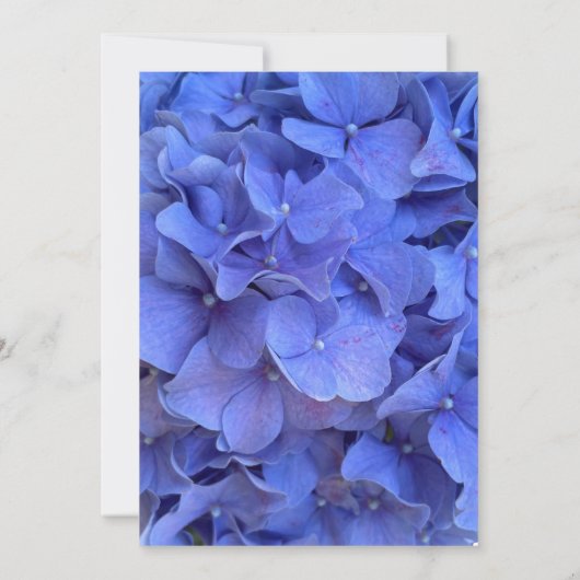 Blauwe maagdenpalm elegant floraal Vrijgezellenfee Kaart (Achterkant)