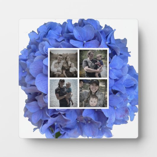 Blauwe maagdenpalm elegante bloemen hortensia's fotoplaat (Voorkant)