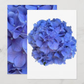 Blauwe maagdenpalm elegante bloemen hortensia's kaart (Voorkant / Achterkant)