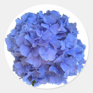 Blauwe maagdenpalm elegante bloemen hortensia's ronde sticker
