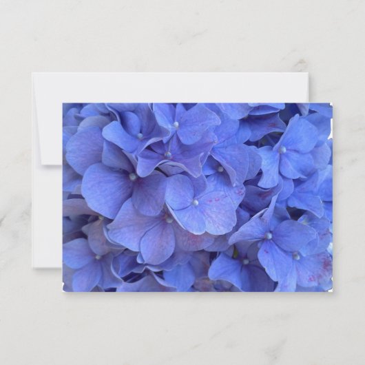 Blauwe maagdenpalm elegante bloemen hortensia's save the date (Achterkant)