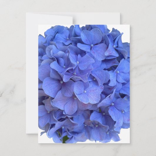 Blauwe maagdenpalm elegante bloemen hortensia's save the date (Achterkant)