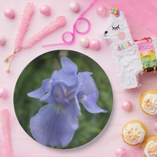  blauwe maagdenpalm irisbloem papieren bordje (Feest)