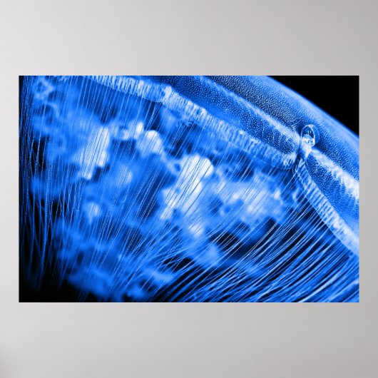 Blauwe maan rijst poster (Voorkant)