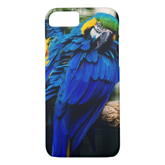 Blauwe Macaw Parrot, exotische tropische vogel Case-Mate iPhone Case (Achterkant)