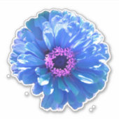 Blauwe madeliefjes blauwe bloemenfoto sticker (Voorkant)