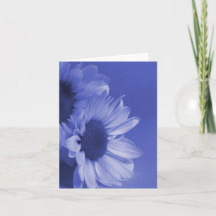 Blauwe Madeliefjes Lege Bloemen Wenskaart Kaart