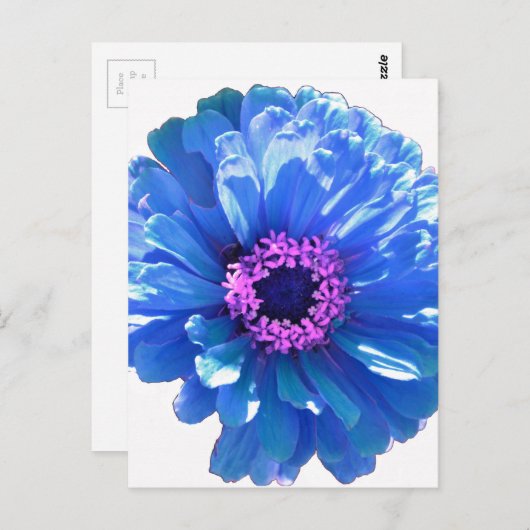 Blauwe maffia briefkaart (Voorkant / Achterkant)