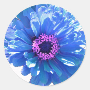 Blauwe maffia ronde sticker