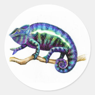 Blauwe Mannelijke Panter Kameleon Stickers