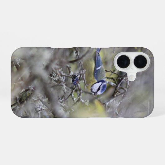 Blauwe mees iPhone 16 hoesje (Achterkant horizontaal)