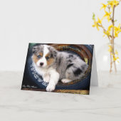 Blauwe Merle 4 het Australische Wenskaart van de Kaart (Gele Bloem)