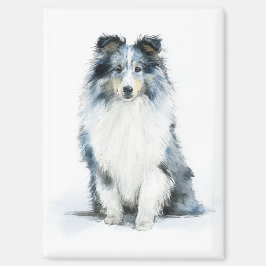 BLAUWE MERLE Shetland Sheepdog Aquarel Kunst Magneet