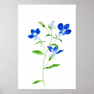 blauwe, met een oogappel poster