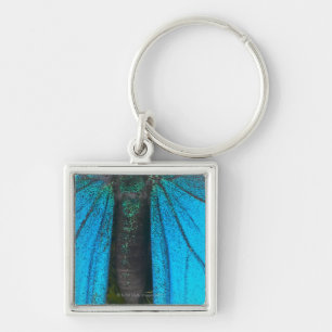Blauwe moerasstaart (Papilio ulysses) Sleutelhanger