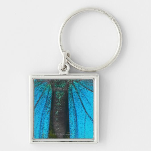 Blauwe moerasstaart (Papilio ulysses) Sleutelhanger (Voorkant)