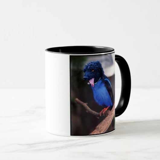 Blauwe mok (Voorkant rechts)